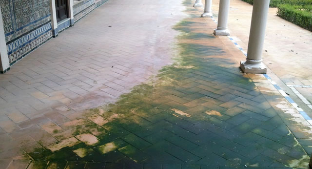 LIMPIADOR DE MANCHAS VERDES DE MOHO Y VERDÍN
